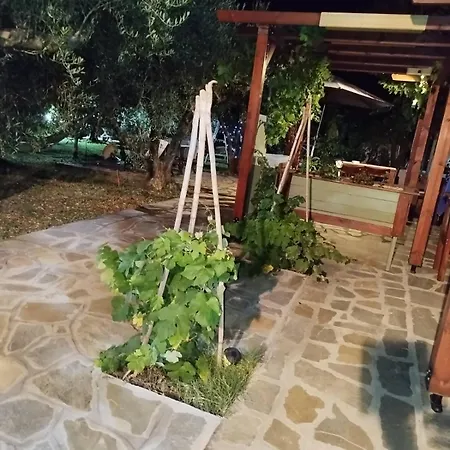 Olive * 雅伊奥斯马马斯