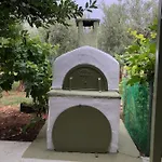 Olive * Agios Mamas (Chalkidiki)