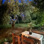 Olive 雅伊奥斯马马斯