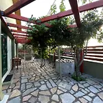 Olive Agios Mamas (Chalkidiki)