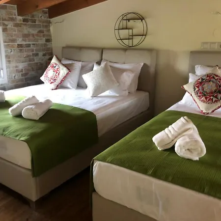 Olive Holiday home