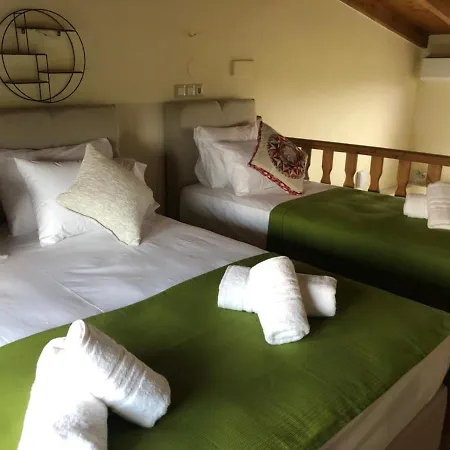 Holiday home Olive Agios Mamas (Chalkidiki)