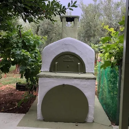 Olive * Agios Mamas (Chalkidiki)