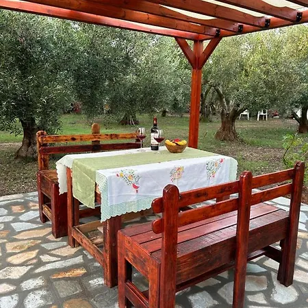 Olive * Agios Mamas (Chalkidiki)