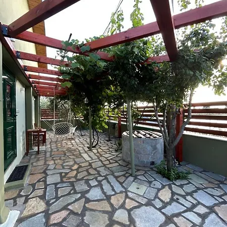 Olive Agios Mamas (Chalkidiki)