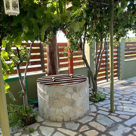 Olive * Agios Mamas (Chalkidiki)
