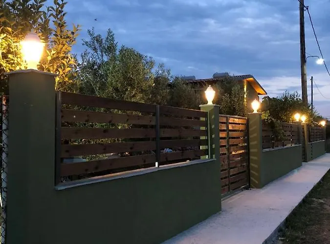 Olive Agios Mamas (Chalkidiki)