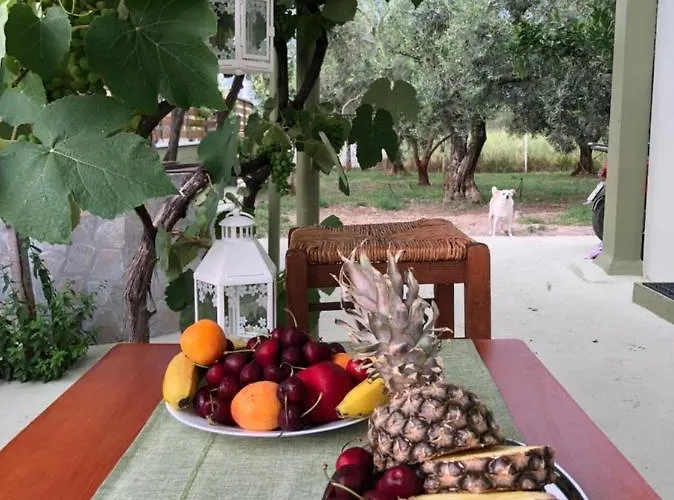 Сasa de vacaciones Olive *