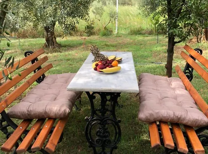 Olive Сasa de vacaciones *