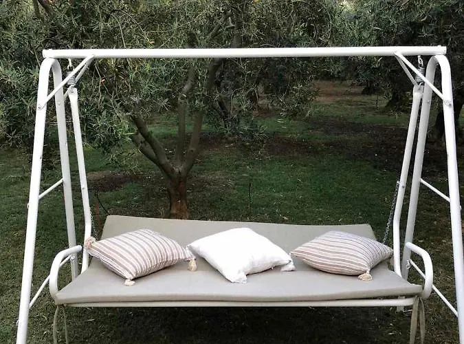 Olive * Agios Mamas (Chalkidiki)