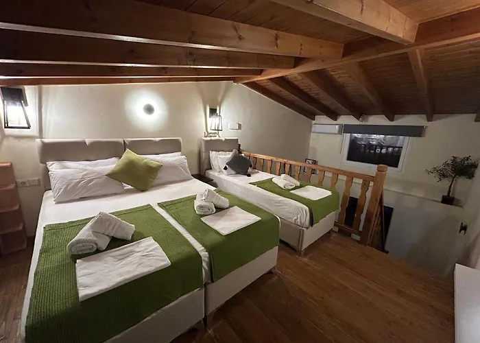 Olive Сasa de vacaciones *