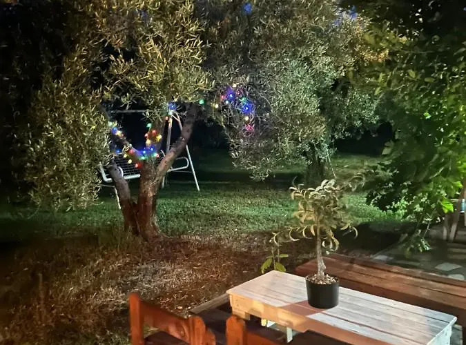 Olive Agios Mamas (Chalkidiki)