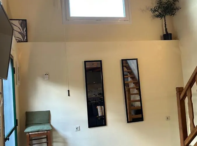 Olive * Agios Mamas (Chalkidiki)