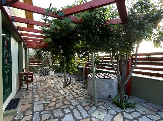 Olive Agios Mamas (Chalkidiki)