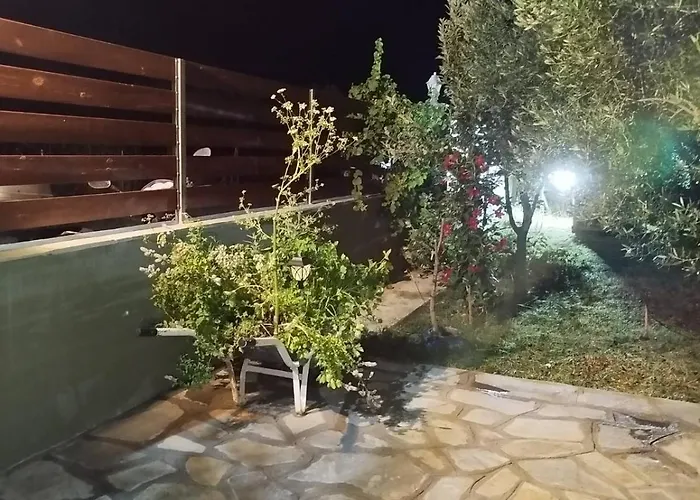 Olive Agios Mamas (Chalkidiki)