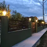 Olive Agios Mamas (Chalkidiki)