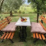 Olive Ferienhaus *