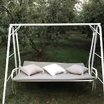Olive * Agios Mamas (Chalkidiki)