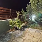Olive Agios Mamas (Chalkidiki)