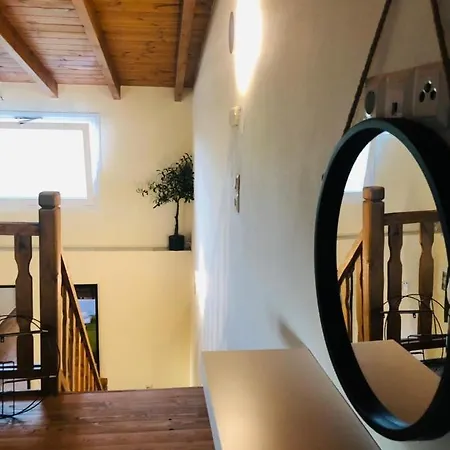 Olive Case de vacanță