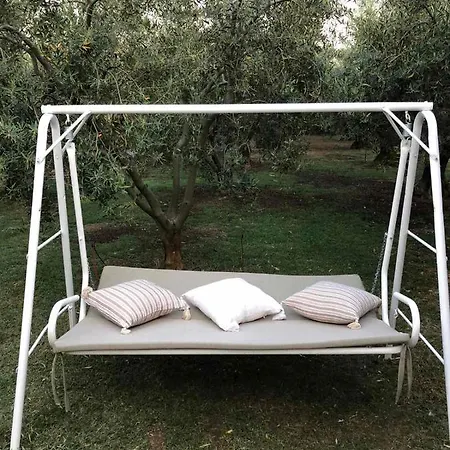 Olive * Agios Mamas (Chalkidiki)