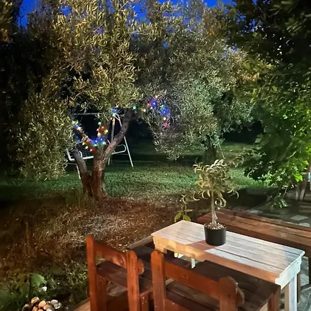 Olive Agios Mamas (Chalkidiki)