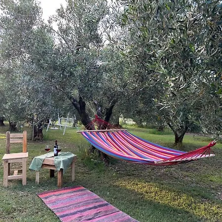 Case de vacanță Olive