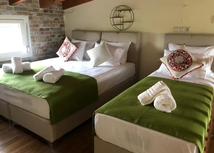 Olive Ferienhaus