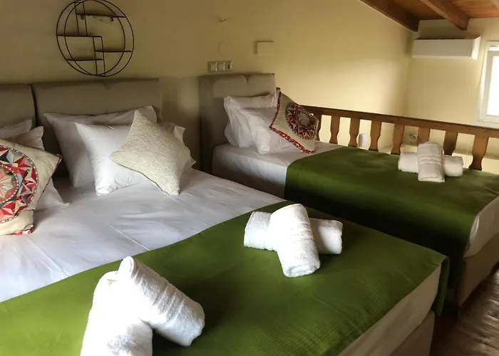 Ferienhaus Olive Agios Mamas (Chalkidiki)